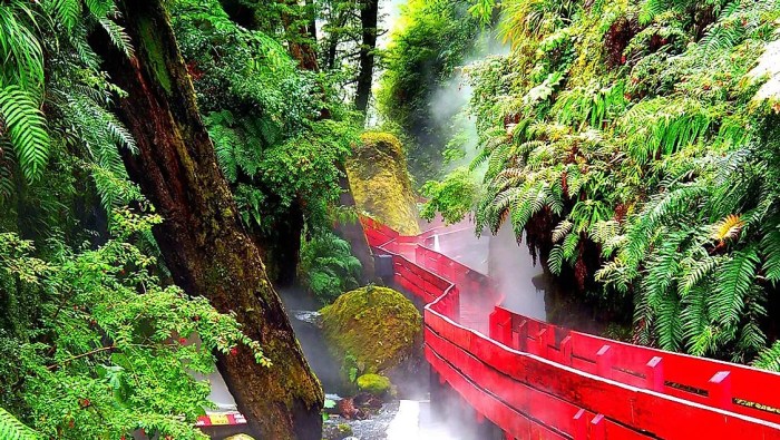 Rainforest travel destinations for biodiversity