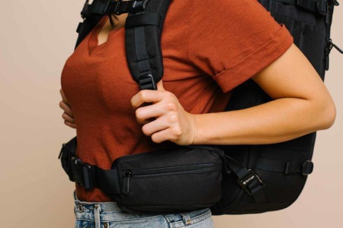 Travel backpacks with ergonomic hip belts