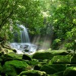 Rainforest travel destinations for biodiversity